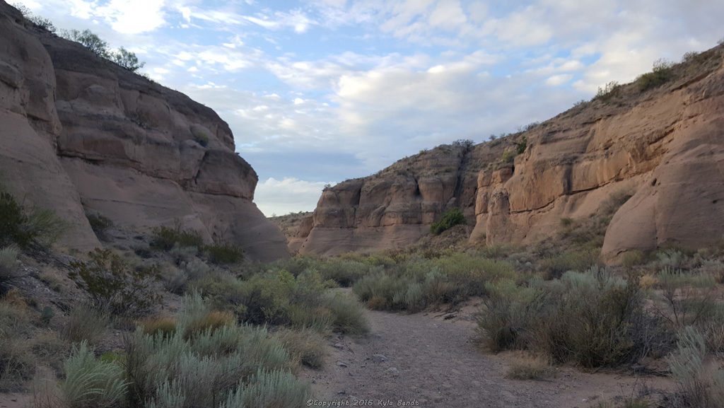 Canyon trail Bosque del Apache NWR