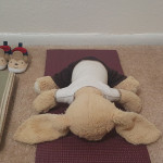 Hoppy doing yoga