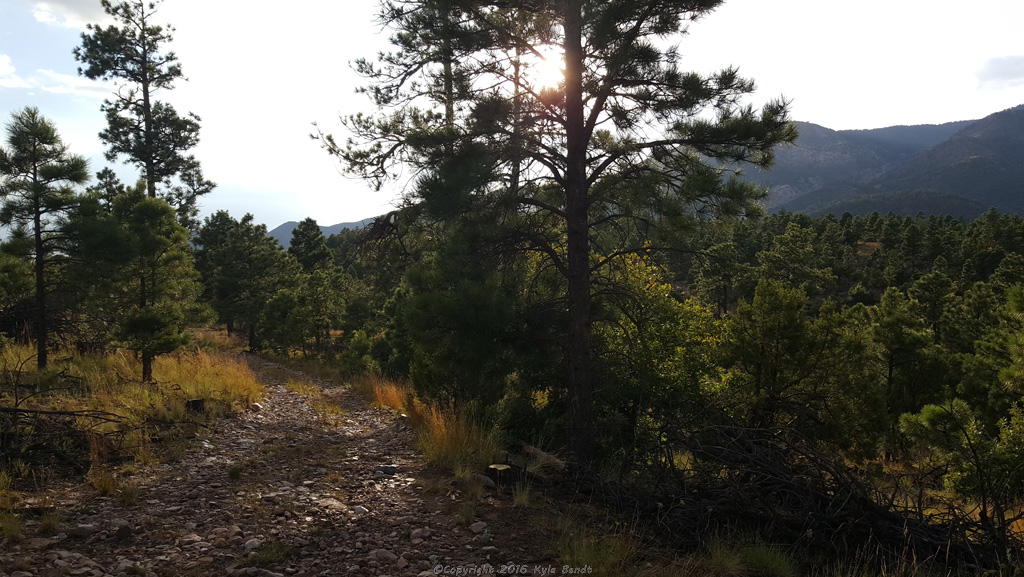 manzanomountainsroad