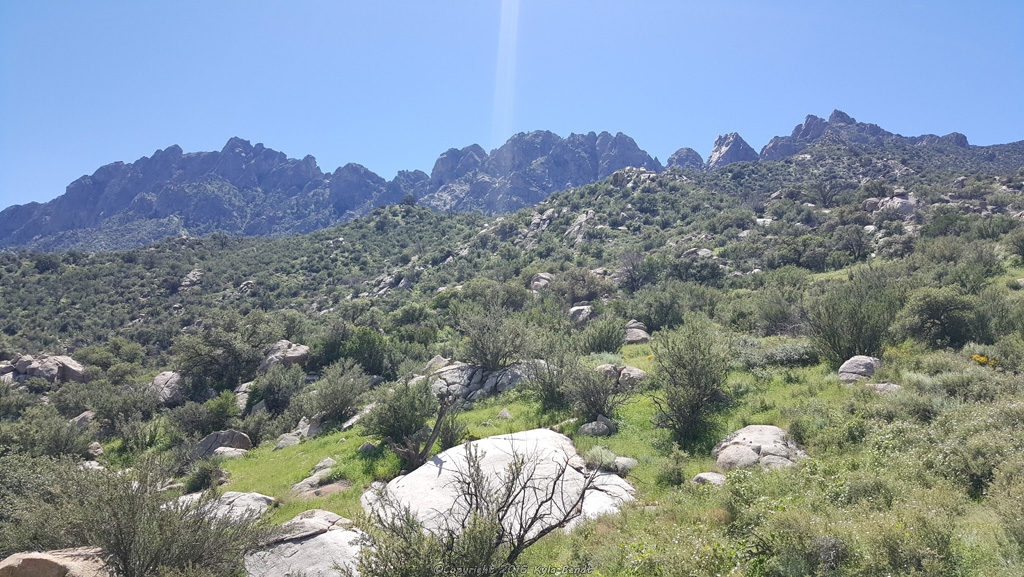 organ-mountains-2