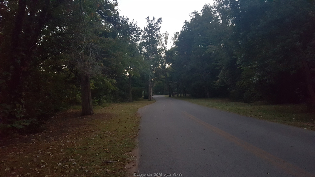 The road leading through the park.