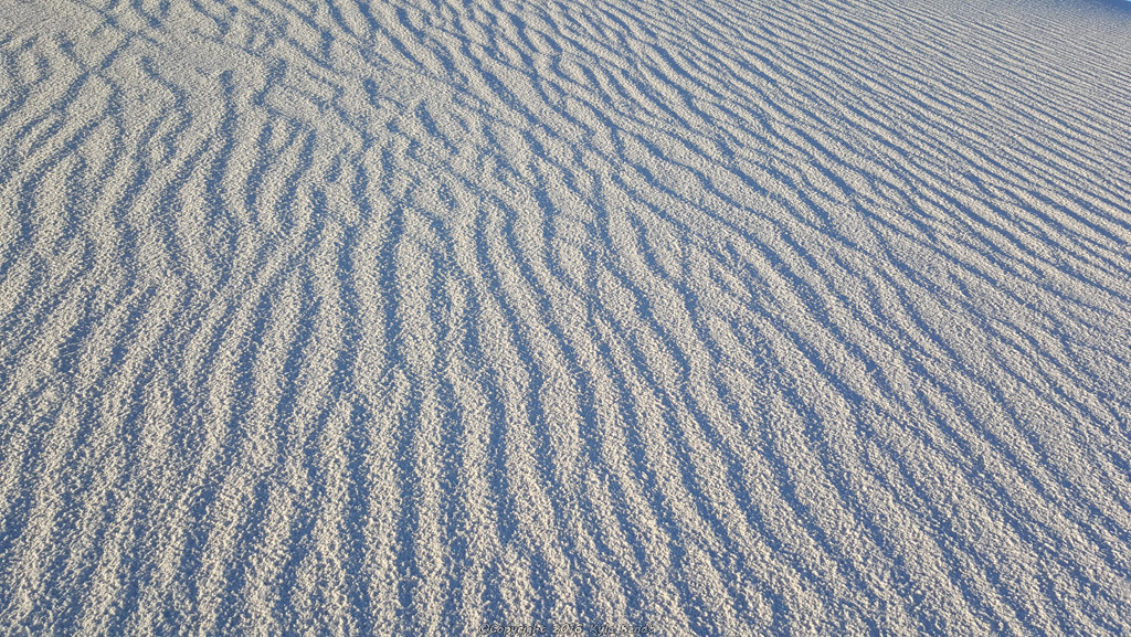 I thought the patterns in the sand from the wind looked super cool. 