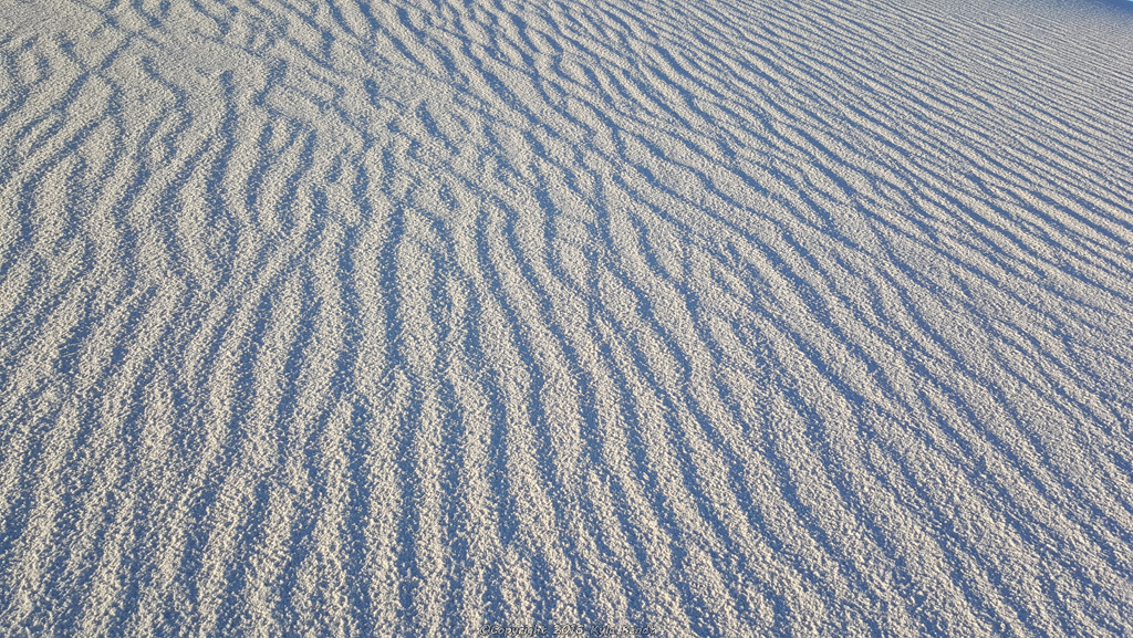 I thought the patterns in the sand from the wind looked super cool.