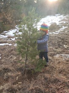 a toddler with the smallest christmas tree