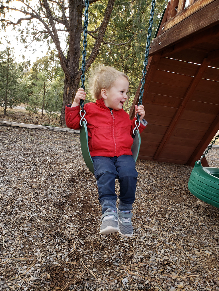 young child on a swing