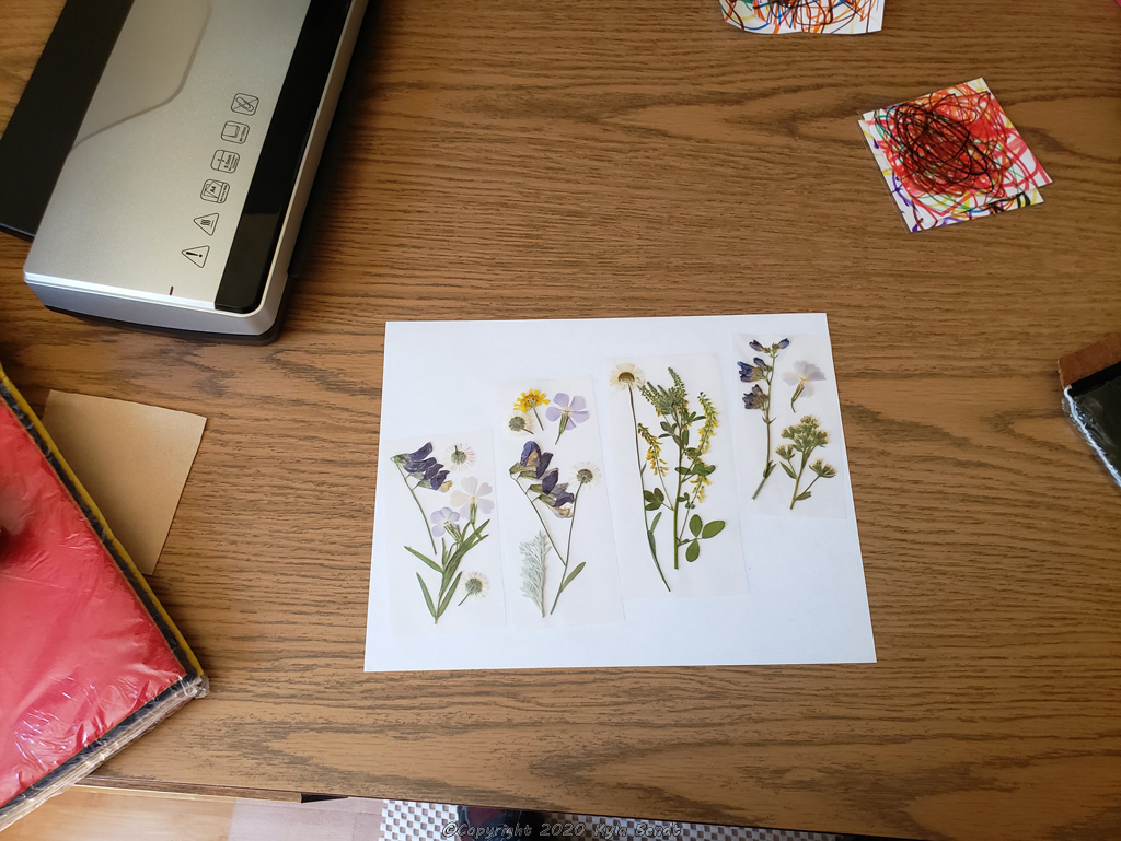 laminated flower bookmarks